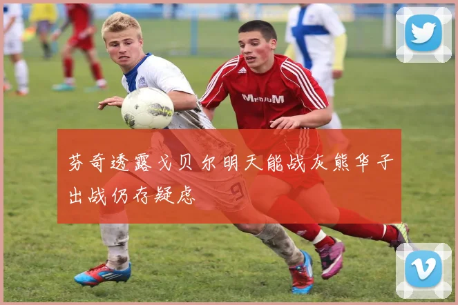 芬奇透露戈贝尔明天能战灰熊华子出战仍存疑虑