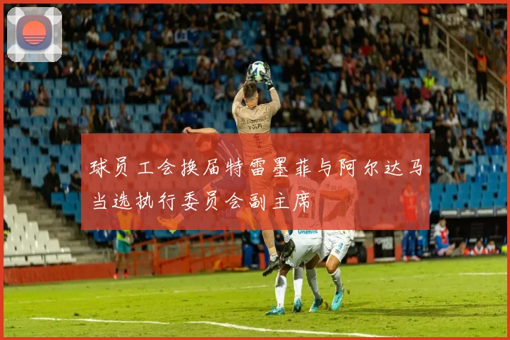 球员工会换届特雷墨菲与阿尔达马当选执行委员会副主席