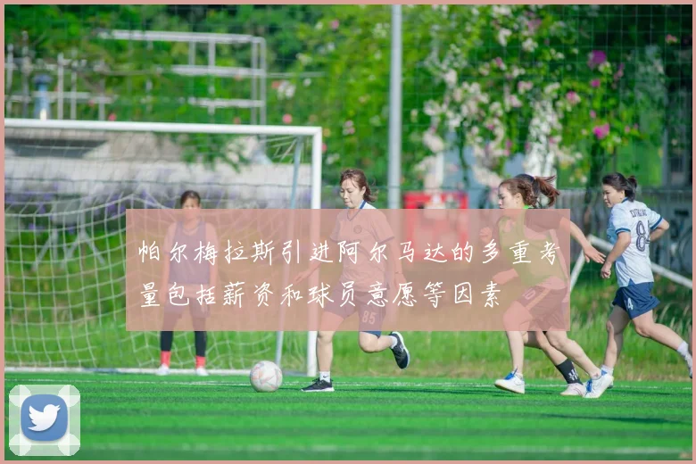 帕尔梅拉斯引进阿尔马达的多重考量包括薪资和球员意愿等因素